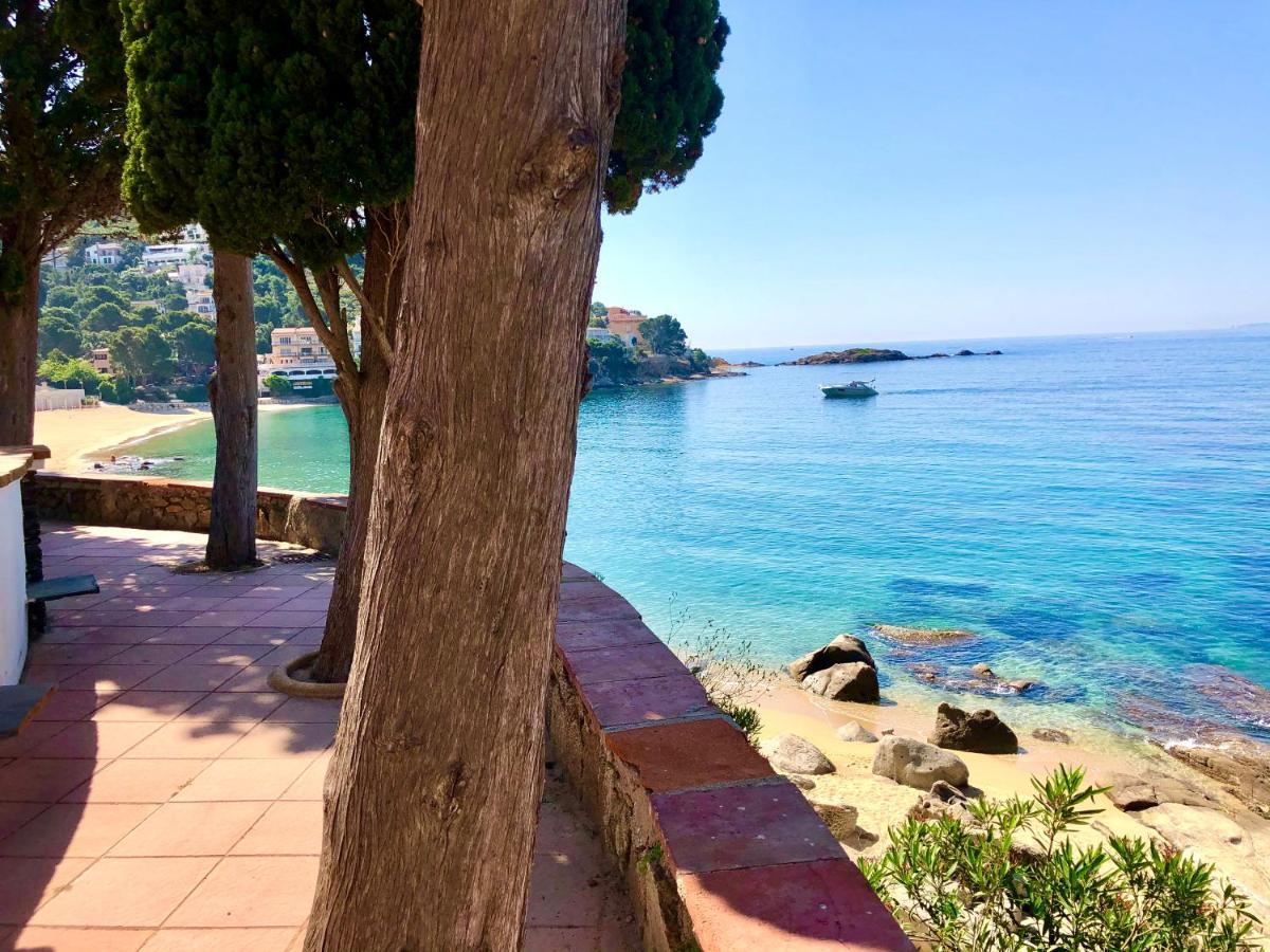 Magnifique Appartement En Front De Mer, Caneylles ロザス エクステリア 写真